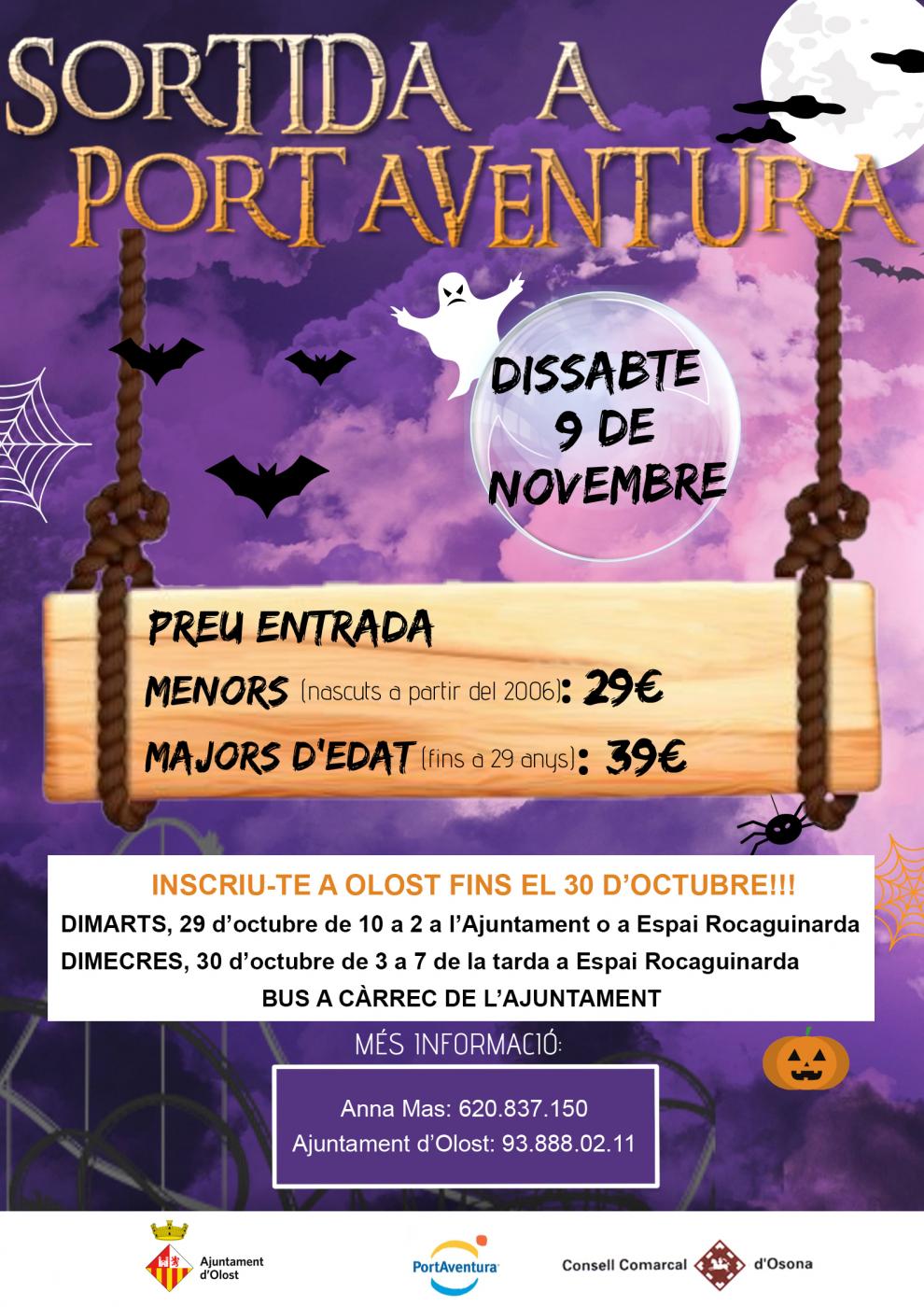 Sortida a Port Aventura
